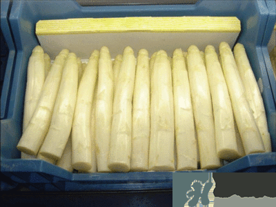 吃蘆筍注意事項有哪些？蘆筍有什么藥用功效？