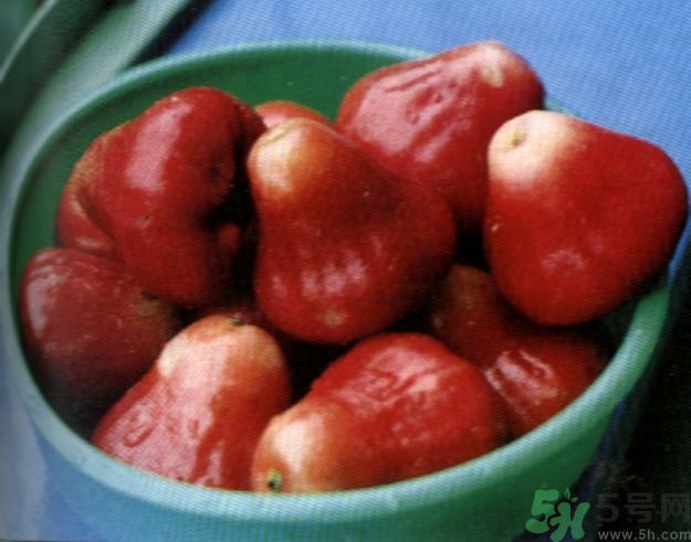 蓮霧怎么洗才干凈?蓮霧的正確清洗方法.jpg 蓮霧怎么洗才干凈?蓮霧的正確清洗方法.jpg