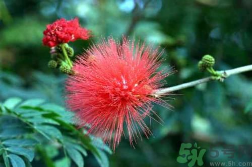 男性春季養(yǎng)生吃什么？男性春季養(yǎng)生的方法有哪些？