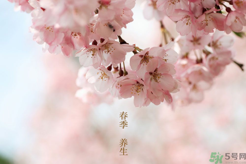 女性春季養(yǎng)生吃什么？女性春季怎么養(yǎng)生？