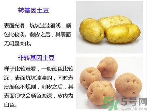 土豆變綠還能吃嗎？土豆變綠有什么危害？