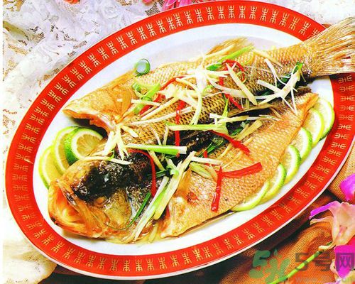 痛風可以吃魚嗎？痛風可以吃什么魚？