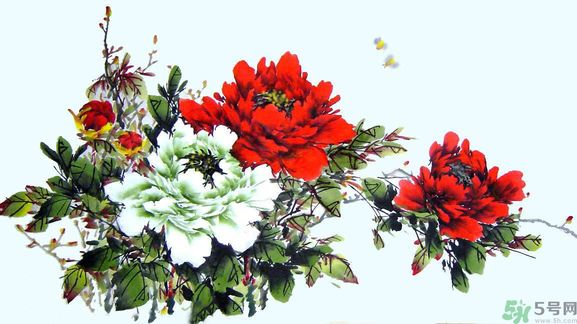 牡丹的花語是什么？牡丹的寓意是什么？