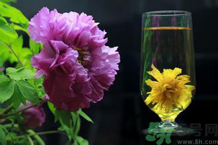 牡丹花可以和菊花一起泡嗎？牡丹花和菊花一起泡茶好嗎？