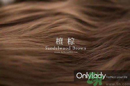 九大染發(fā)色系有哪些？哪種染發(fā)色系最適合女生？