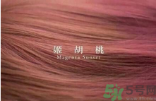 九大色系染發(fā)要怎么選擇？九大色系染發(fā)有什么要求？