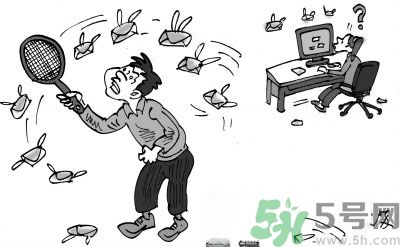 1分鐘被騙334萬 釣魚郵件內(nèi)容是什么？