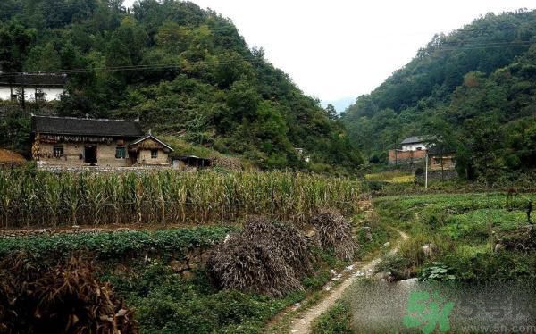 小鎮(zhèn)百人患?jí)m肺病的原因是什么？塵肺病是什么??？