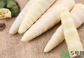 春筍是發(fā)物嗎?春筍是不是發(fā)物?.png 春筍是發(fā)物嗎?春筍是不是發(fā)物?.png