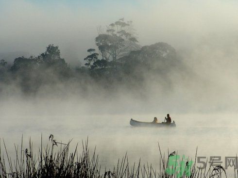 往同學(xué)保溫杯中倒墨汁 誤食墨水怎么辦？