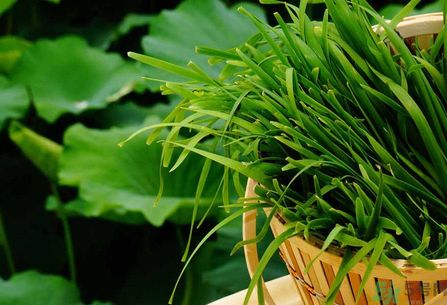 1460258377352876.jpg 壓根大法師要 規(guī)奪奪方 052.jpg