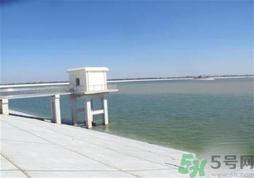 哪些地方的地下水不能飲用？為什么八成地下水不能飲用？