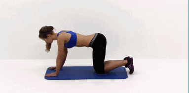 1460357300309600.gif 5.gif