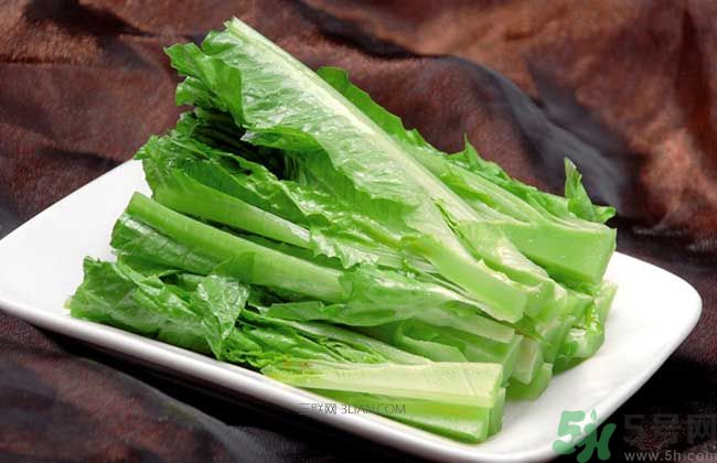 萵筍葉子能吃嗎？萵筍葉子吃了好不好？