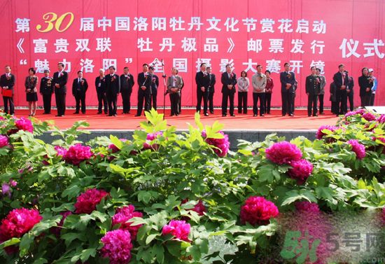 洛陽(yáng)牡丹文化節(jié)活動(dòng)有哪些？洛陽(yáng)牡丹文化節(jié)門票是多少？