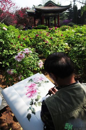 洛陽(yáng)牡丹文化節(jié)活動(dòng)有哪些？洛陽(yáng)牡丹文化節(jié)門票是多少？