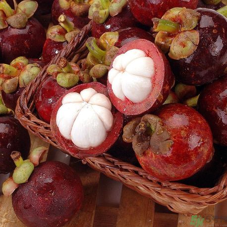 山竹可以和牛奶一起吃嗎？山竹和牛奶一起吃好嗎？