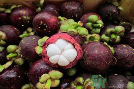 山竹可以和牛奶一起吃嗎？山竹和牛奶一起吃好嗎？