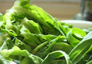 萵筍葉子能生吃嗎？萵筍葉子怎么做？