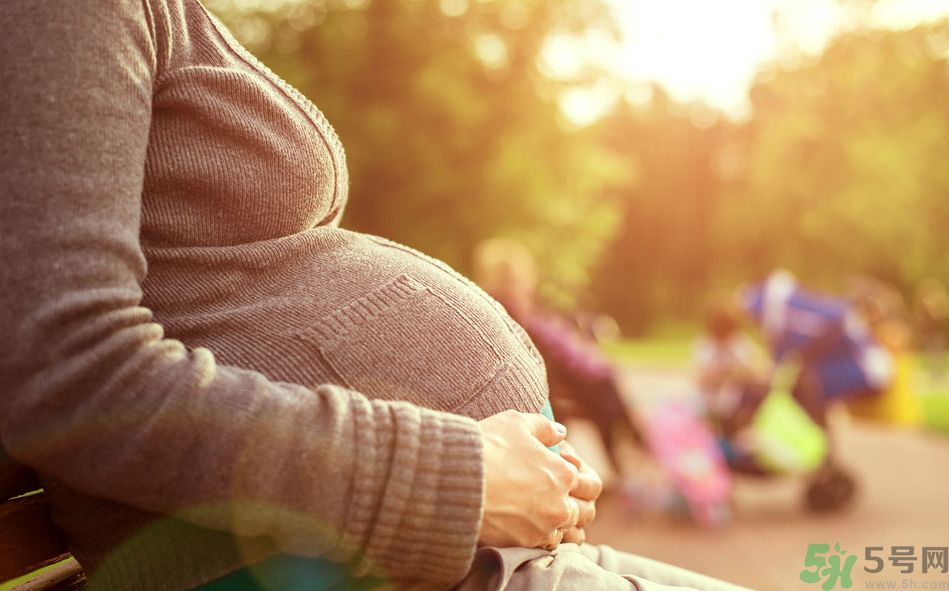 懷孕初期可以吃冬瓜嗎？懷孕初期吃冬瓜好嗎？