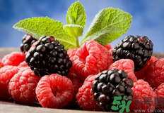 桑葚是發(fā)物嗎?桑葚是不是發(fā)物?.png 桑葚是發(fā)物嗎?桑葚是不是發(fā)物?.png