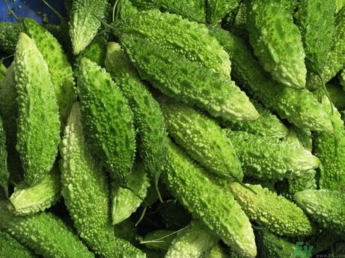 苦瓜和檸檬可以一起泡水喝嗎？苦瓜和檸檬泡水喝好嗎？