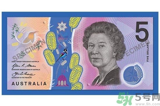 新版5澳元為什么被吐槽？新版5澳元是多少錢？