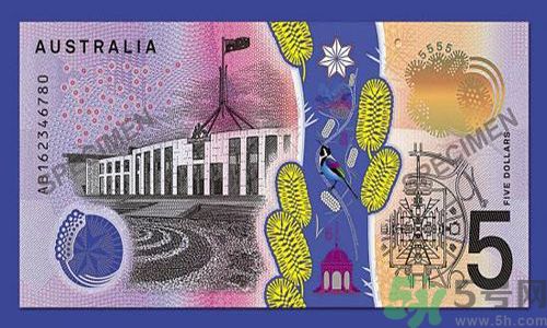 新版5澳元為什么被吐槽？新版5澳元是多少錢？