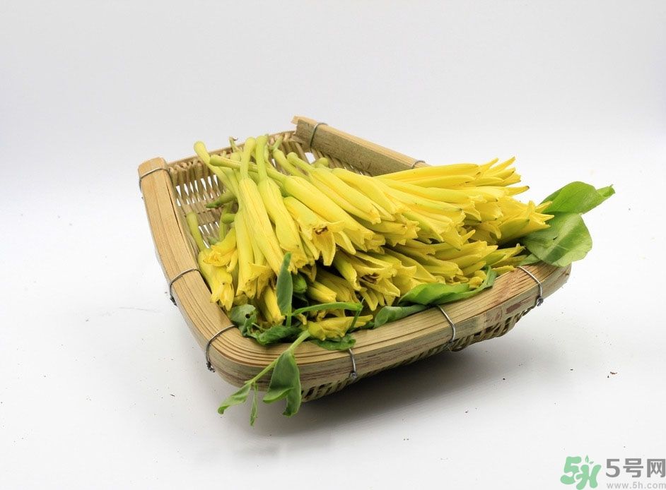 黃花菜可以治療抑郁癥嗎？兩噸黃花菜治好了抑郁癥是真的嗎？