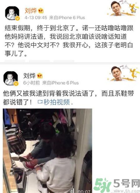 諾一雪梨是誰？為什么叫諾一雪梨？