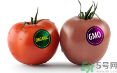 農(nóng)業(yè)部怎樣回應(yīng)轉(zhuǎn)基因食品？轉(zhuǎn)基因的食物有哪些？