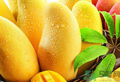 櫻桃能和芒果一起吃嗎?櫻桃可以和芒果同食嗎?.png 櫻桃能和芒果一起吃嗎?櫻桃可以和芒果同食嗎?.png