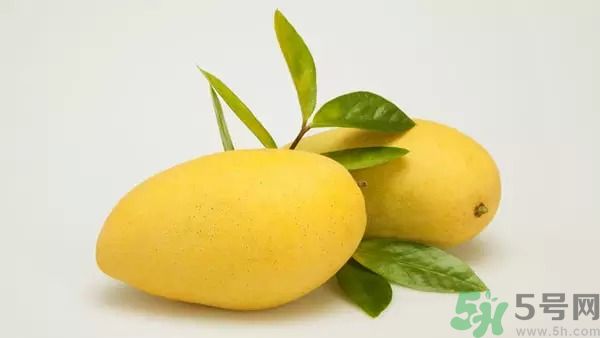 吃芒果能減肥嗎？吃芒果減肥可以嗎？