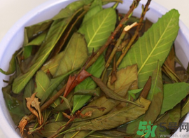 枇杷葉煮水能止咳嗎?枇杷葉煮水的功效與作用.png 枇杷葉煮水能止咳嗎?枇杷葉煮水的功效與作用.png