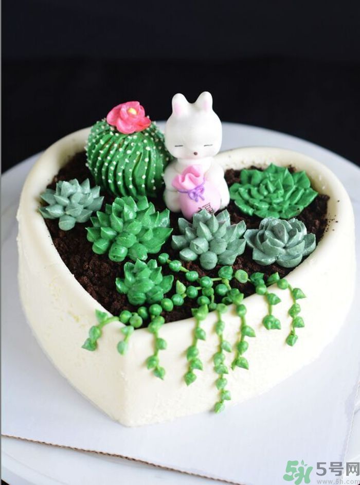 什么是多肉蛋糕？多肉蛋糕怎么做？