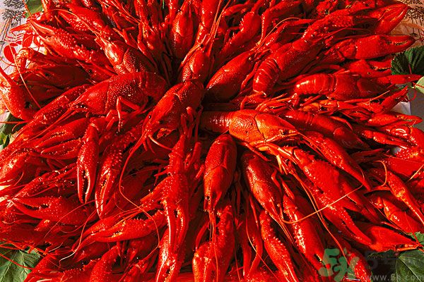 油燜大蝦蝦皮能吃嗎？油燜大蝦能全部吃掉嗎？