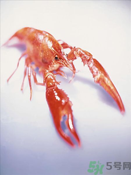 油燜大蝦為什么肉散了？油燜大蝦怎么做肉不散？