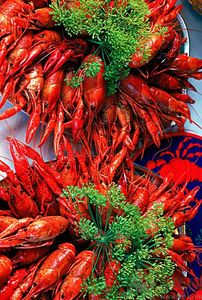 油燜大蝦用的是什么蝦？油燜大蝦用什么蝦最好？