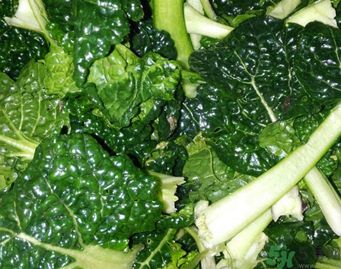 1460963169420764.jpg 壓根大法師 奪奪方 035.jpg