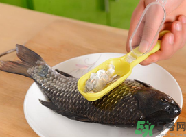 武昌魚怎么去掉魚鱗?武昌魚刮魚鱗的方法.png 武昌魚怎么去掉魚鱗?武昌魚刮魚鱗的方法.png