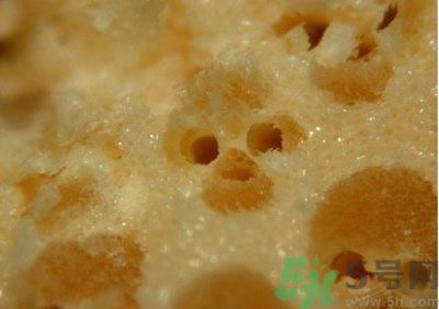 經(jīng)常用一次性筷子可以嗎？一次性筷子有病毒嗎？