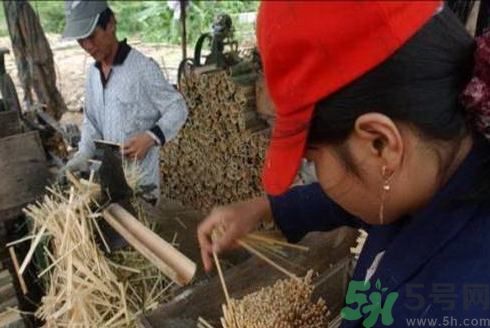 經(jīng)常用一次性筷子可以嗎？一次性筷子有病毒嗎？