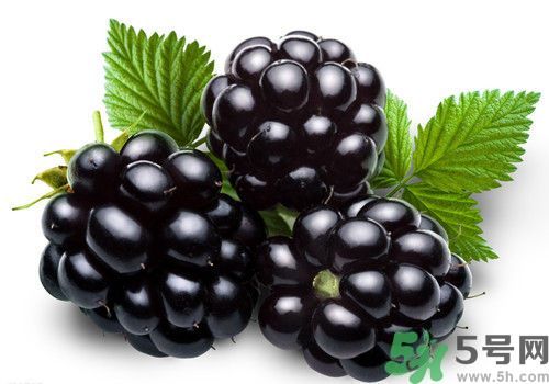 膽囊炎能吃桑葚嗎？膽囊炎吃桑葚好嗎？