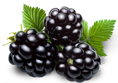 膽囊炎能吃桑葚嗎？膽囊炎吃桑葚好嗎？