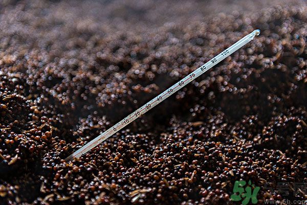 嬰兒測(cè)溫湯匙怎么樣？嬰兒測(cè)溫湯匙好用嗎？