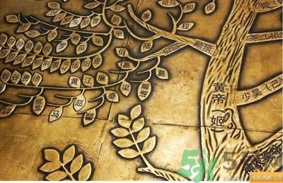 茍姓被開玩笑4小孩獲批改姓敬 最尷尬的姓氏是什么？