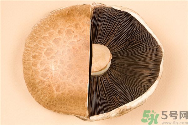 菇類的營(yíng)養(yǎng)價(jià)值有哪些？怎樣挑選優(yōu)質(zhì)的菇類？