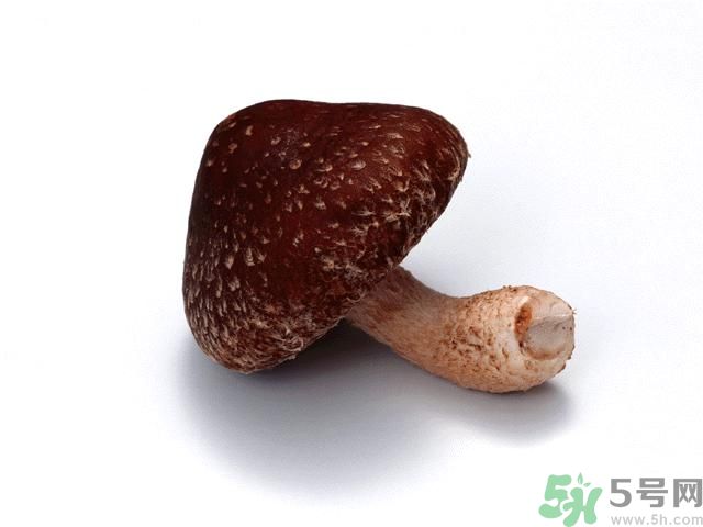 西紅柿發(fā)青可以吃嗎？青西紅柿吃了好不好？