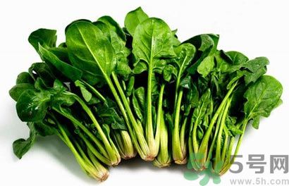 菠菜可以炒韭菜嗎？菠菜和韭菜一起吃怎么樣？