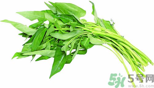 空心菜和雞能一起吃嗎？空心菜怎么吃有營養(yǎng)？